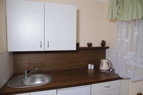 a kitchen counter with a sink and white cabinets at OW Mikomania in Charzykowy