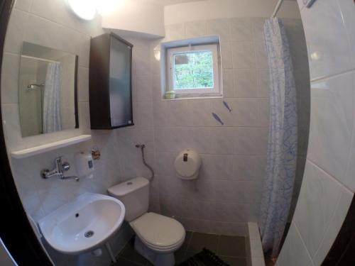 a bathroom with a sink and a toilet and a window at OW Mikomania in Charzykowy