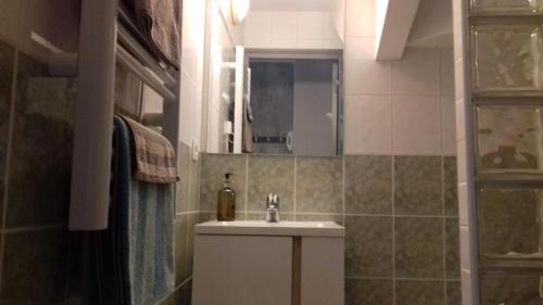 a bathroom with a sink and a mirror at Le Petit Dyke in Le Puy en Velay
