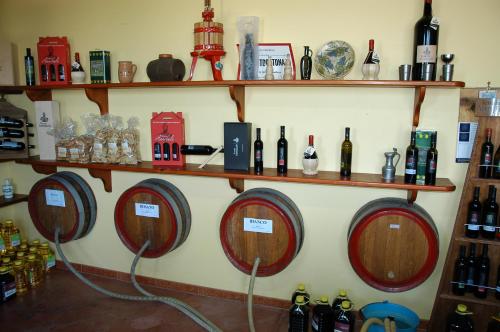 a bunch of wine bottles on shelves on a wall at Tenuta Annibale in Leverano