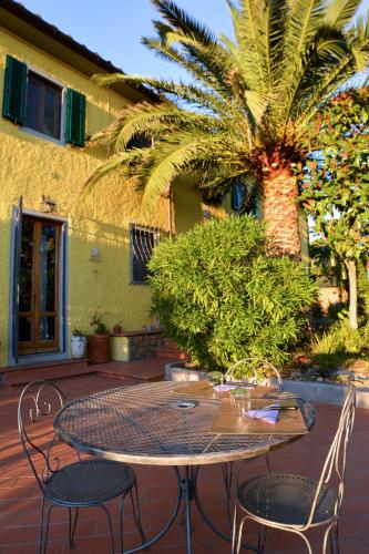 a table and chairs on a patio with a palm tree at Agriturismo Podere Rondinaio in Lamporecchio