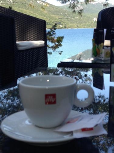 Gallery image of Hotel Luka in Luka