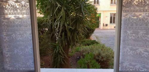 - une vue sur un palmier à travers une fenêtre dans l'établissement location saisonnière, à Menton
