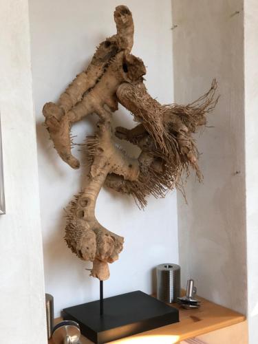 a piece of driftwood hanging on a wall at Ferienwohnung am Schlössle in Ochsenfurt