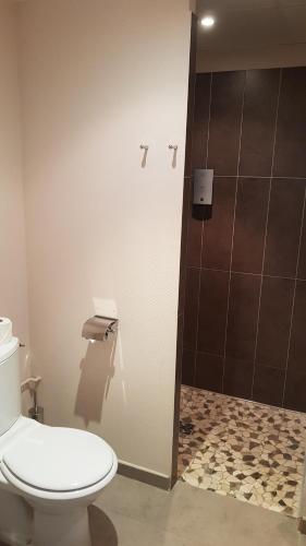 a bathroom with a toilet and a shower at Logis Hôtel des Deux Forts in Salins-les-Bains