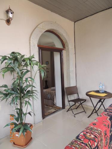 a bedroom with a potted plant and a mirror at Old Town Akhaltsikhe in Akhaltsikhe