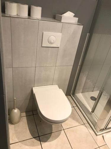 a bathroom with a toilet and a shower at Hôtel Les Frangins in Saint-Omer