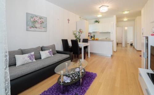 ARIJANA APARTMAN free private garage