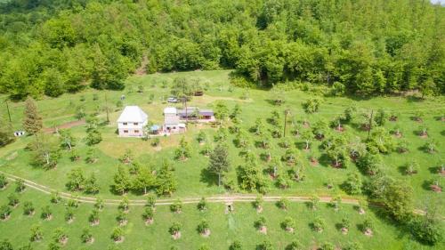 an aerial view of a house on a green field at Kljajevica Orchard in Pljevlja