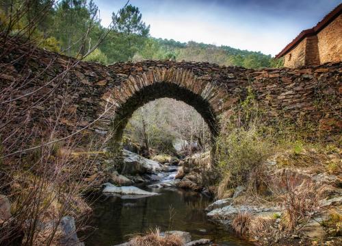 an old stone bridge over a stream with a river at Casas Rurales Prunus Avium in Cambrón