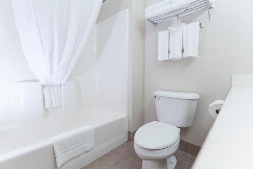 ein weißes Bad mit einem WC und einer Badewanne in der Unterkunft The Niobrara Lodge in Valentine