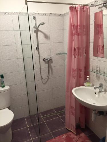 a bathroom with a shower and a toilet and a sink at Harang Panzió in Gyomaendrőd