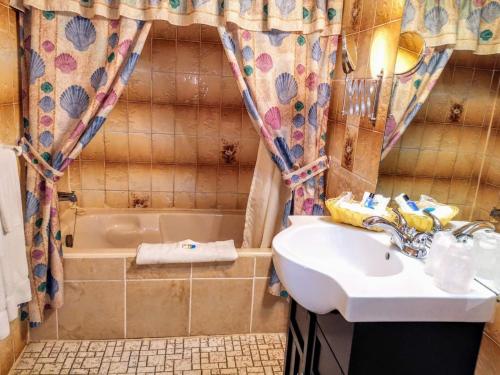 a bathroom with a sink and a bath tub at Hotel Motel La Marquise in Sherbrooke