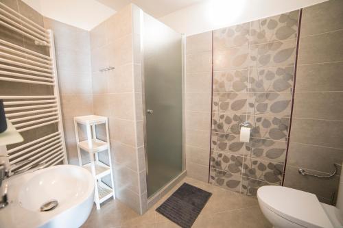 a bathroom with a shower and a toilet and a sink at Apartmány U parku Třeboň in Třeboň