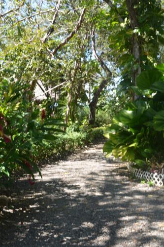 a path in a park with trees and plants at TreeTops Inn in San Juanillo
