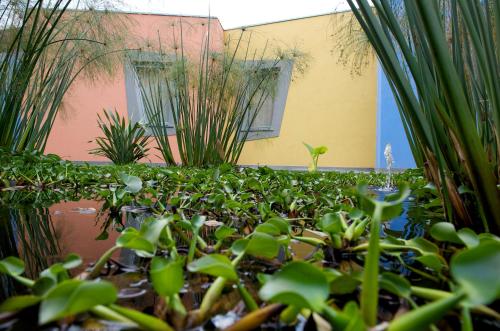 a garden with plants in front of a building at ibis Styles Catania Acireale in Acireale