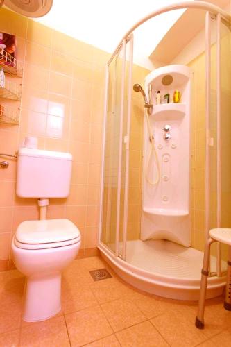 a bathroom with a shower with a toilet and a sink at Apartment LAUREL Center Opatija in Opatija