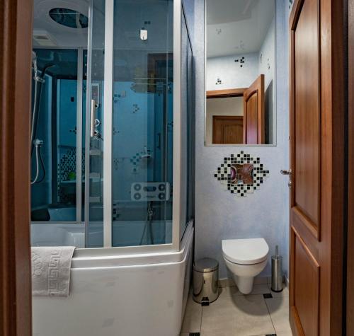 a bathroom with a shower and a toilet at 2-room Apartment Lux near Centre Wi-Fi Free in Dnipro