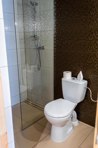 a bathroom with a toilet and a shower at Leśny Dwór in Murzasichle
