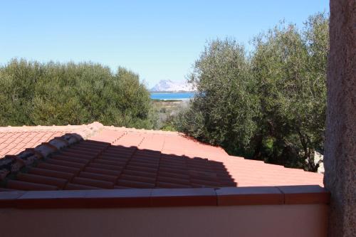Foto dalla galleria di Residence La Funtana a San Teodoro