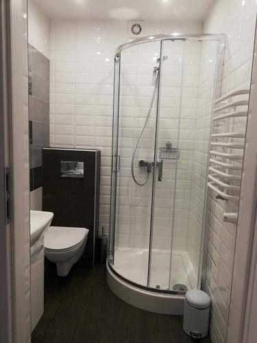 a bathroom with a shower and a toilet at Pokoje Na Szlaku in Lądek-Zdrój
