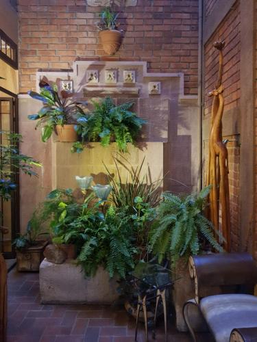 a room with plants on a brick wall at Casa Aurea Hotel Boutique in Morelia