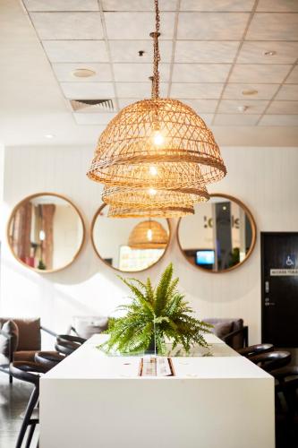 a chandelier hanging over a table with a plant at Wake Up! Sydney Central in Sydney
