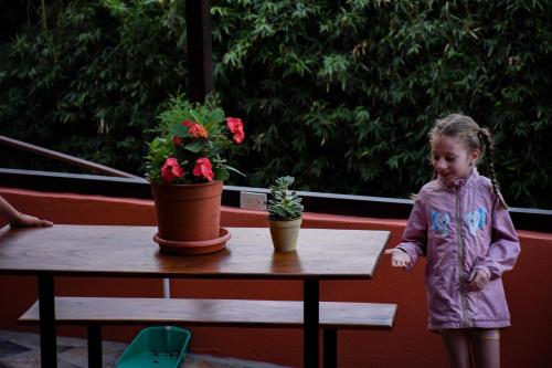 a little girl standing next to a table with plants at Cabinas Eddy B&B in Monteverde Costa Rica