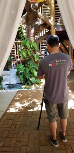 a man with a cane standing next to a tree at Pousada João Sol in Praia do Forte