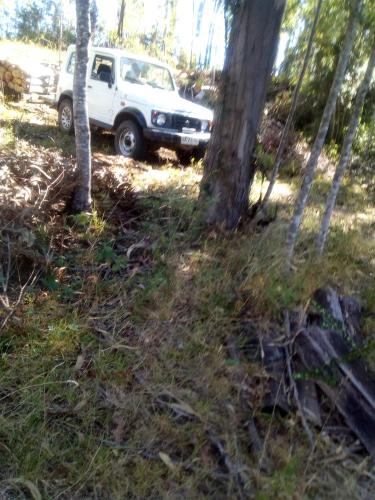 Φωτογραφία από το άλμπουμ του Los Encinos de Chancoyan σε Valdivia