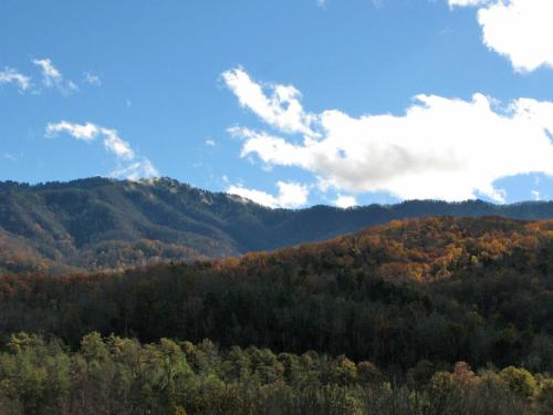ein Blick auf einen Berg mit Bäumen und Wolken in der Unterkunft Naughty by Nature in Gatlinburg