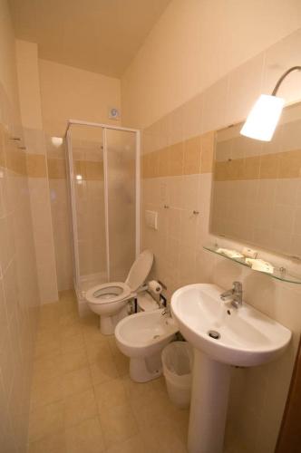 ピサにあるDormire a Cisanelloのバスルーム(トイレ、洗面台、シャワー付)