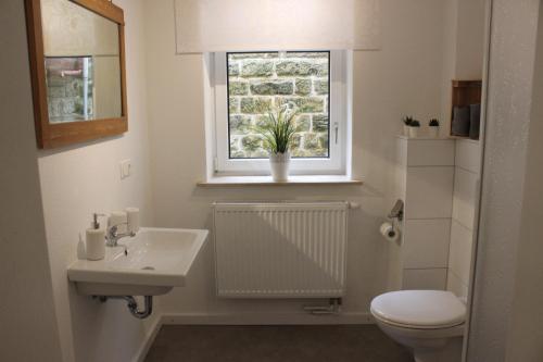 a bathroom with a sink and a toilet and a window at Apartment Steinbruch in Bad Schandau