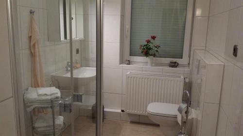 ein Bad mit einer Dusche, einem WC und einem Waschbecken in der Unterkunft Ferienhaus "Pusteblume" in Bad Zwischenahn