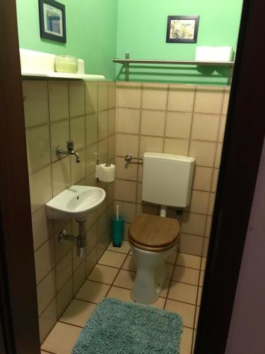 a bathroom with a toilet and a sink at Casa Mia in Sankt Georgen ob Murau
