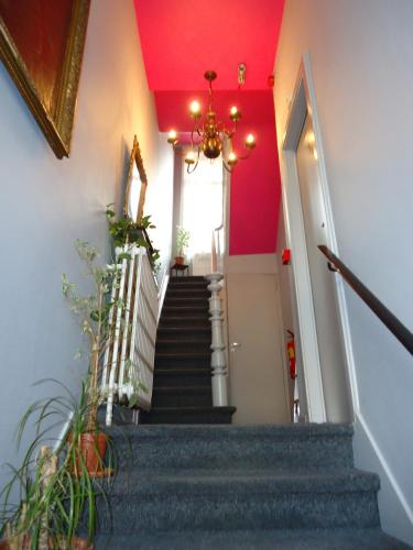 Hotel Belvedere – Photos 2