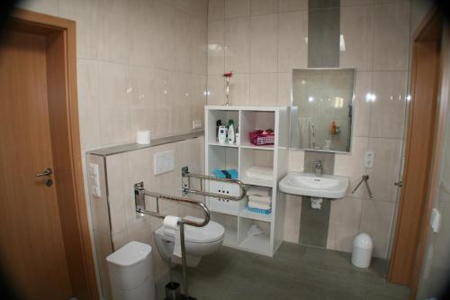 een badkamer met een toilet en een wastafel bij Deichkutscher in Schmarren