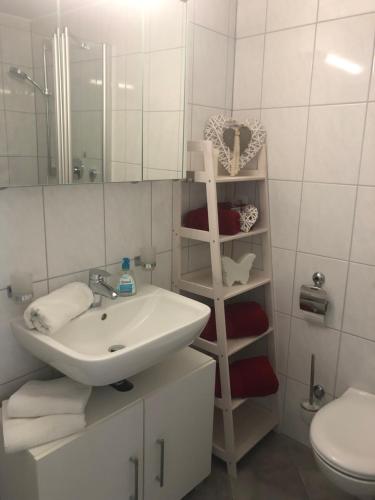 Appartement Allgäu-Sonne في شايديغ: حمام مع حوض ومرحاض ومرآة