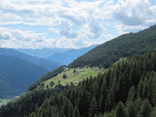 a view of a hill with trees and mountains at Albergo Eden in Ponte di Legno