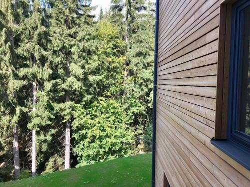 Gambar di galeri bagi Útulný apartmán u Mumlavských vodopádů di Harrachov