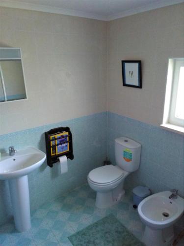 a bathroom with a white toilet and a sink at Casa da Casimira in Miranda do Corvo