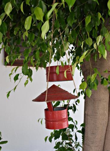 a red bird feeder hanging from a tree at Sun Beach Lindos in Lardos