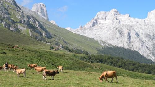 Albergue La Estación, Llanes – Updated 2022 Prices