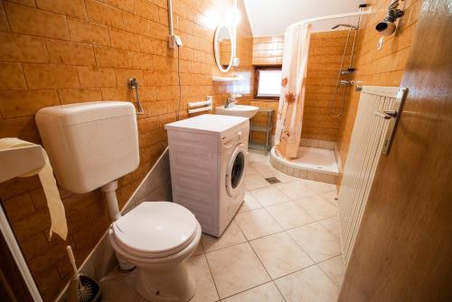 a bathroom with a toilet and a sink and a shower at Farm Stay Žagar in Mozirje