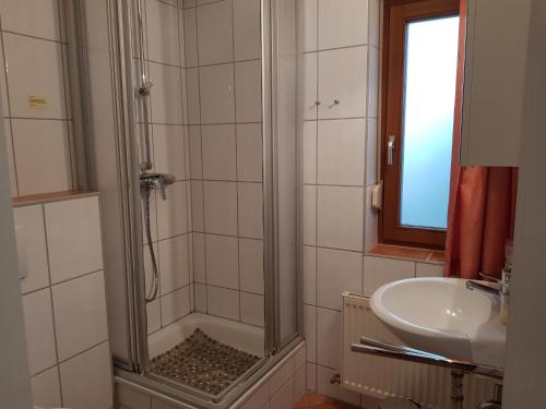 ein Badezimmer mit Dusche und Waschbecken in der Unterkunft Ferienwohnung 4 im Haus am See mit Wintergarten und Terrasse in Seedorf