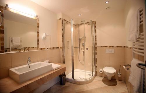 a bathroom with a shower and a sink and a toilet at Berghotel Mummelsee in Seebach