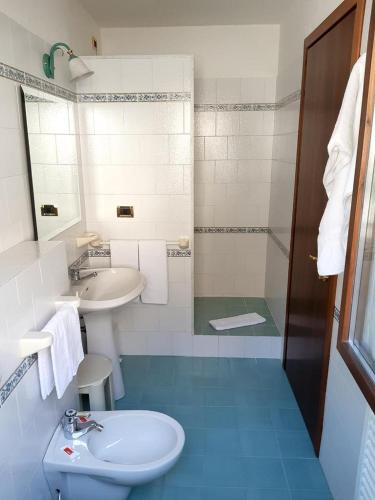 a bathroom with a sink and a toilet at Hotel Panoramique in Aosta
