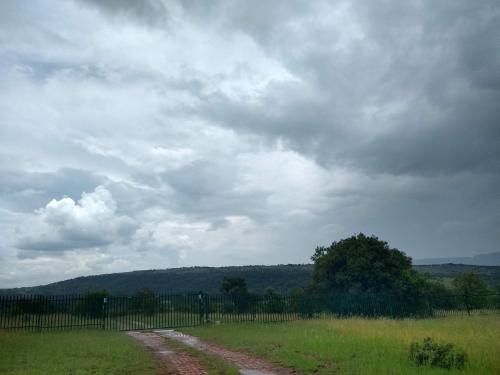 a dirt road in a field under a cloudy sky at Olive Tree Farm in Magaliesburg