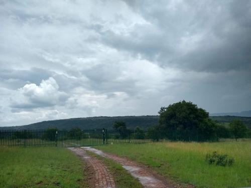 a dirt road in the middle of a field at Olive Tree Farm in Magaliesburg