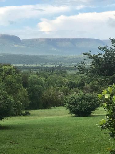 a green field with trees and mountains in the distance at Olive Tree Farm in Magaliesburg